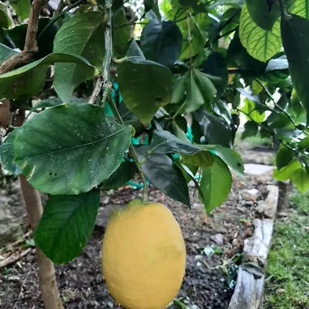 Casa Angelo Appartement Recco