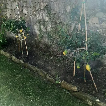 Casa Angelo *